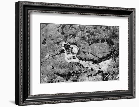 Found Textures XIV-Jason Johnson-Framed Photographic Print