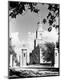 Premium Photographic Print