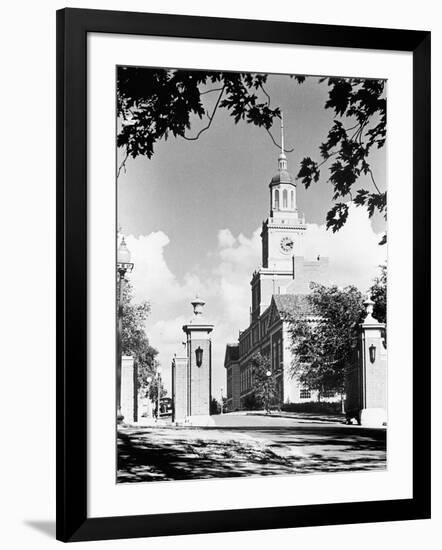 Photographic Print, , large