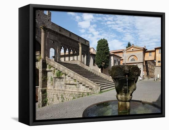 Fountain and Terrace of the Pope's Palace in Viterbo, Lazio, Italy, Europe-Vincenzo Lombardo-Framed Premier Image Canvas