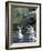 Fountain at Forsyth Park, Savannah, Georgia, USA-Adam Jones-Framed Photographic Print