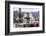 Fountain at St. Peter's Square, Vatican City, UNESCO World Heritage Site, Rome, Lazio, Italy-Nico Tondini-Framed Photographic Print