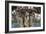 Fountain Detail, Gran Tarajal, Fuerteventura, Canary Islands-Peter Thompson-Framed Photographic Print