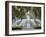 Fountain, Forsyth Park, Savannah, Georgia, United States of America, North America-Richard Cummins-Framed Photographic Print