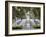 Fountain, Forsyth Park, Savannah, Georgia, United States of America, North America-Richard Cummins-Framed Photographic Print