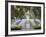 Fountain, Forsyth Park, Savannah, Georgia, United States of America, North America-Richard Cummins-Framed Photographic Print