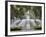 Fountain, Forsyth Park, Savannah, Georgia, United States of America, North America-Richard Cummins-Framed Photographic Print