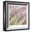 Fountain Grass 7-Ken Bremer-Framed Limited Edition