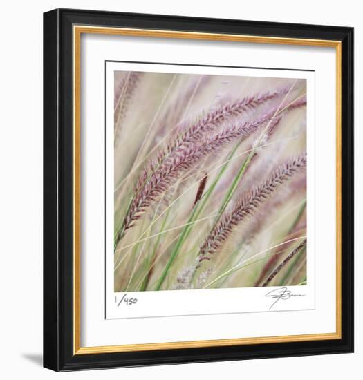 Fountain Grass 7-Ken Bremer-Framed Limited Edition