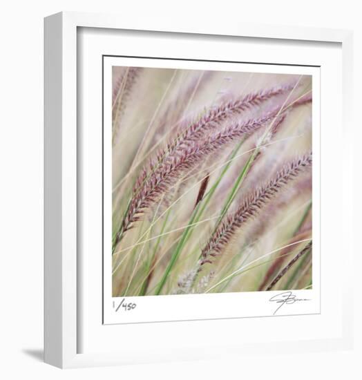 Fountain Grass 7-Ken Bremer-Framed Limited Edition