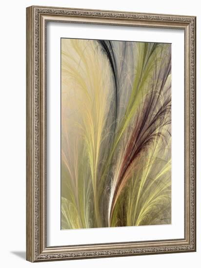 Fountain Grass I-James Burghardt-Framed Art Print