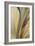 Fountain Grass I-James Burghardt-Framed Art Print