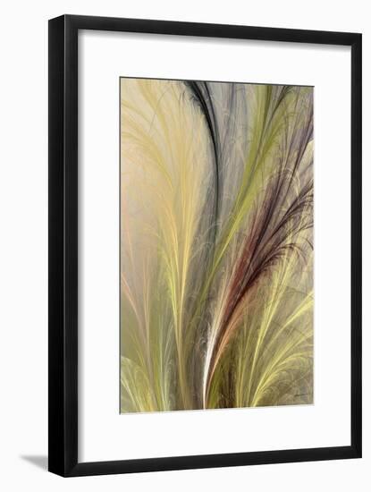 Fountain Grass I-James Burghardt-Framed Art Print