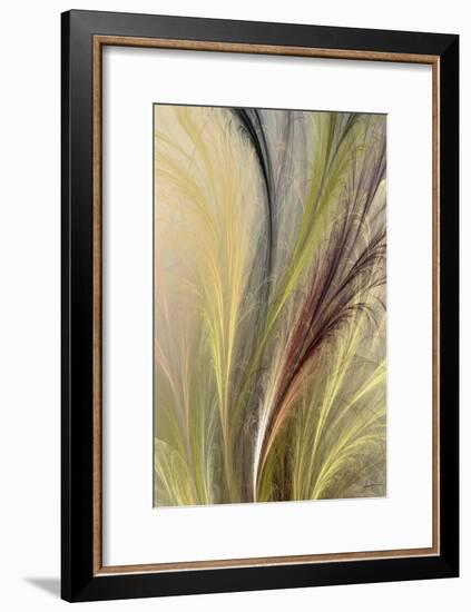 Fountain Grass I-James Burghardt-Framed Art Print