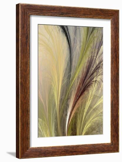 Fountain Grass I-James Burghardt-Framed Art Print