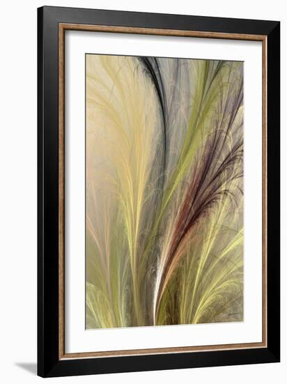 Fountain Grass I-James Burghardt-Framed Art Print