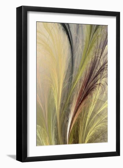 Fountain Grass I-James Burghardt-Framed Art Print