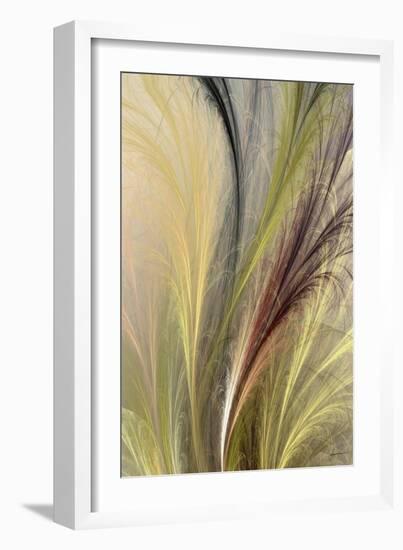 Fountain Grass I-James Burghardt-Framed Art Print