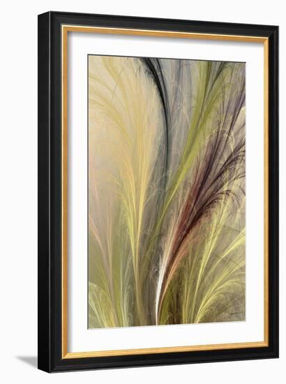 Fountain Grass I-James Burghardt-Framed Art Print