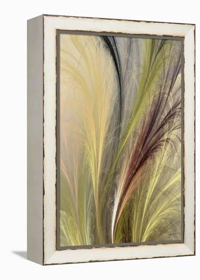 Fountain Grass I-James Burghardt-Framed Stretched Canvas