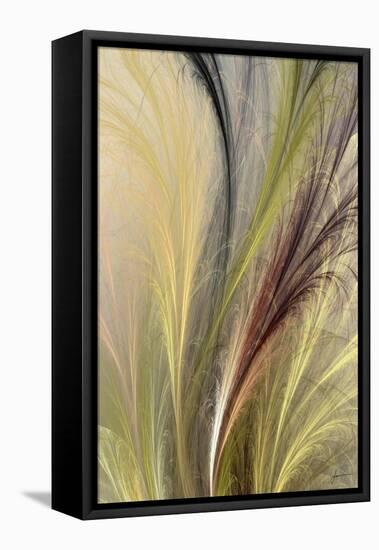 Fountain Grass I-James Burghardt-Framed Stretched Canvas