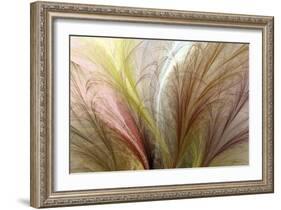 Fountain Grass II-James Burghardt-Framed Art Print
