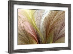 Fountain Grass II-James Burghardt-Framed Art Print