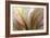 Fountain Grass II-James Burghardt-Framed Art Print