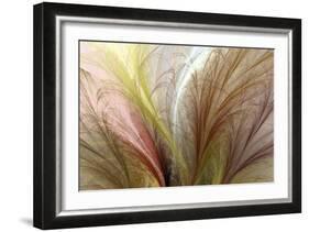 Fountain Grass II-James Burghardt-Framed Art Print