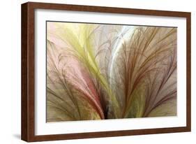 Fountain Grass II-James Burghardt-Framed Art Print