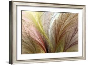 Fountain Grass II-James Burghardt-Framed Art Print