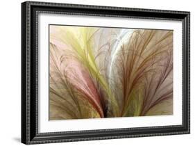 Fountain Grass II-James Burghardt-Framed Art Print