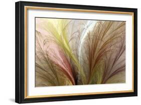 Fountain Grass II-James Burghardt-Framed Art Print