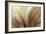 Fountain Grass II-James Burghardt-Framed Art Print