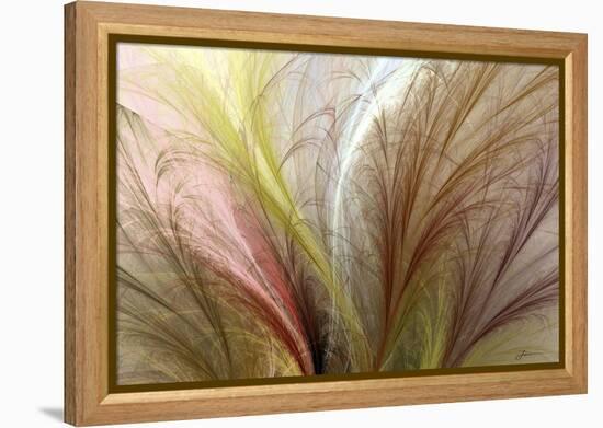 Fountain Grass II-James Burghardt-Framed Stretched Canvas