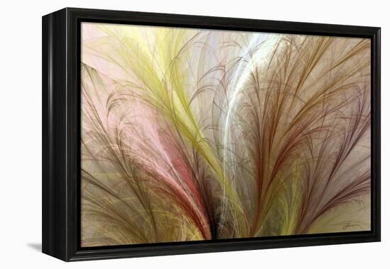 Fountain Grass II-James Burghardt-Framed Stretched Canvas