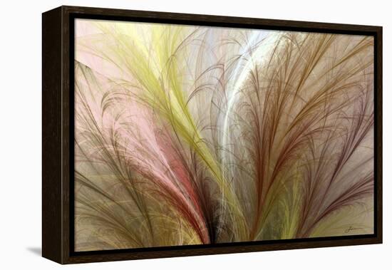 Fountain Grass II-James Burghardt-Framed Stretched Canvas