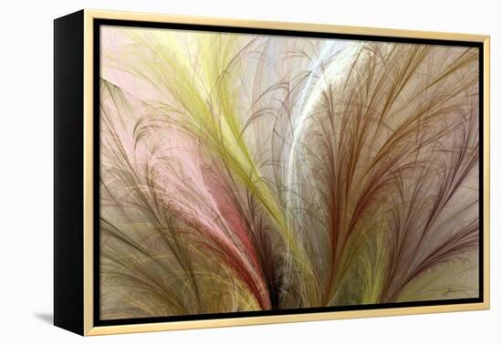Fountain Grass II-James Burghardt-Framed Stretched Canvas