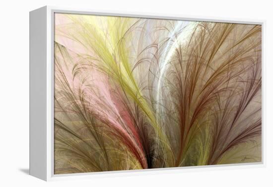 Fountain Grass II-James Burghardt-Framed Stretched Canvas