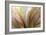 Fountain Grass II-James Burghardt-Framed Premium Giclee Print