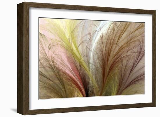 Fountain Grass II-James Burghardt-Framed Premium Giclee Print