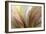 Fountain Grass II-James Burghardt-Framed Premium Giclee Print