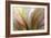 Fountain Grass II-James Burghardt-Framed Premium Giclee Print
