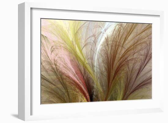 Fountain Grass II-James Burghardt-Framed Premium Giclee Print