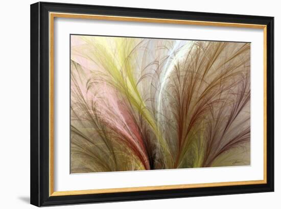 Fountain Grass II-James Burghardt-Framed Premium Giclee Print