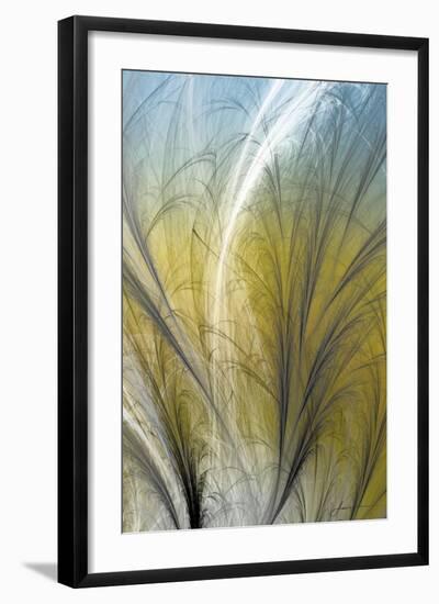 Fountain Grass III-James Burghardt-Framed Art Print