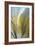 Fountain Grass III-James Burghardt-Framed Art Print