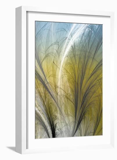 Fountain Grass III-James Burghardt-Framed Art Print