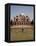 Fountain, Humayun's Tomb, Delhi, India, Asia-null-Framed Premier Image Canvas