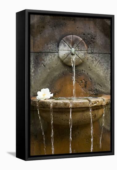 Fountain I-Karyn Millet-Framed Premier Image Canvas